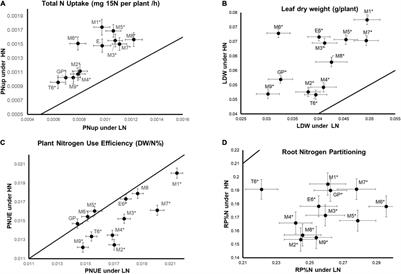 Genotypic Variation of Nitrogen Use Efficiency and Amino Acid Metabolism in Barley